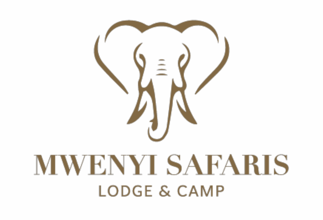 Mwenyi Safaris
